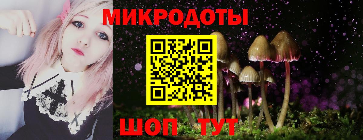 Ивантеевка  Псилоцибиновые грибы ЛСД  Вход с VPN  Галлюциногенные грибы мухоморы 
